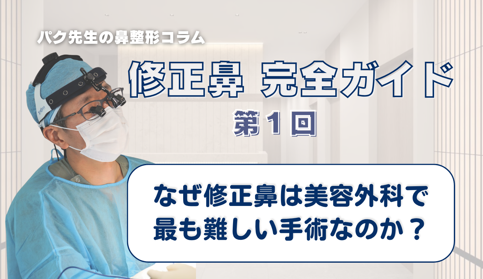 【修正鼻 完全ガイド 第1回】