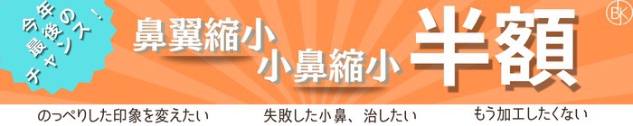 鼻翼縮小 小鼻縮小 半額
